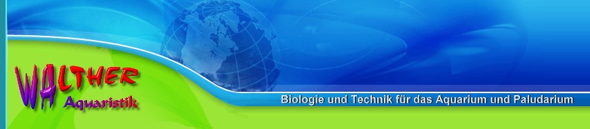 Banner fr Kahmhaut